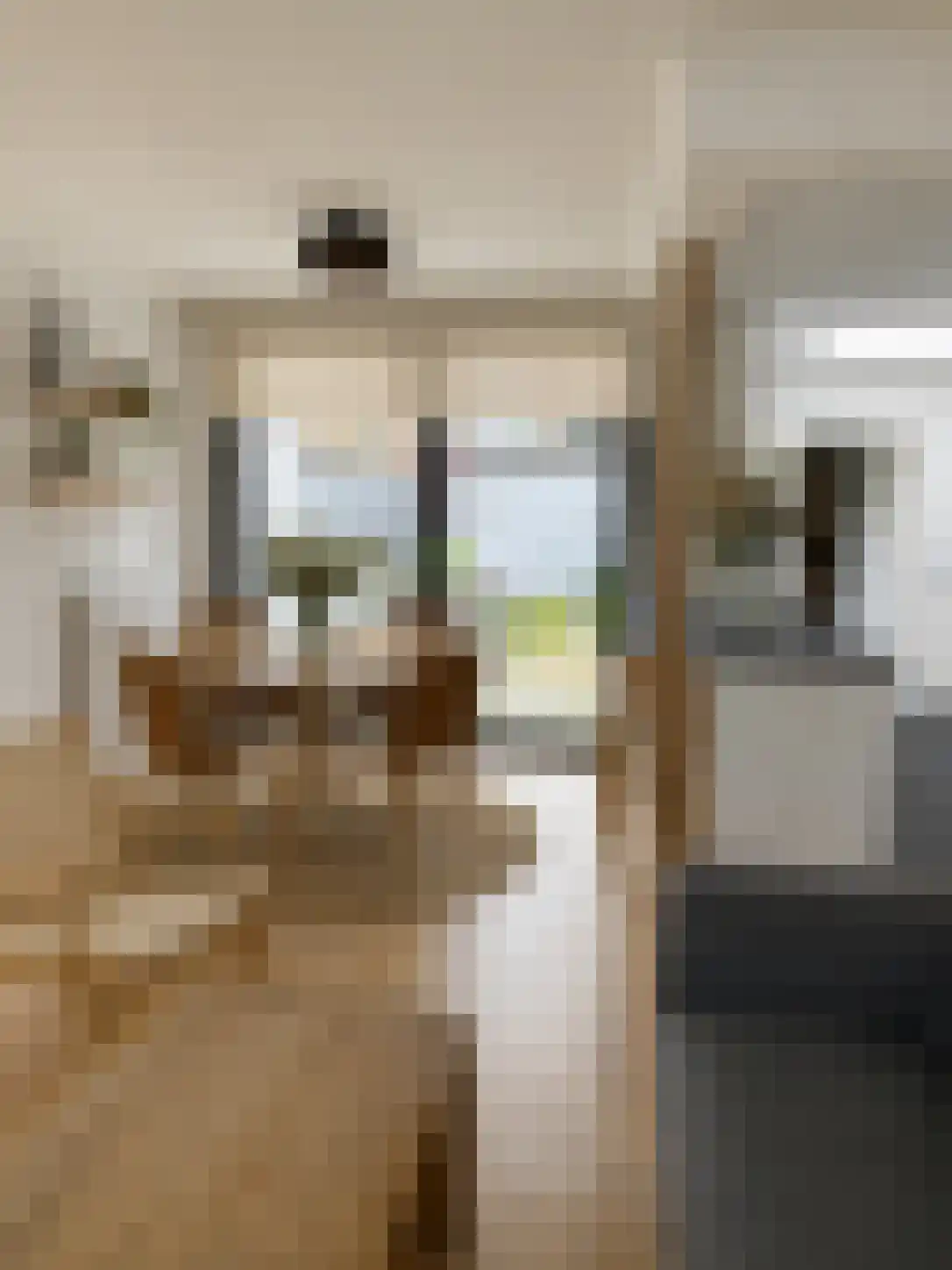 Albertpolderstraat 26 in Sluiskil
