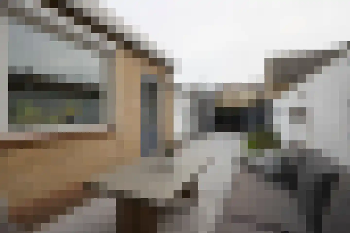 Albertpolderstraat 32 Sluiskil thumbnail 14