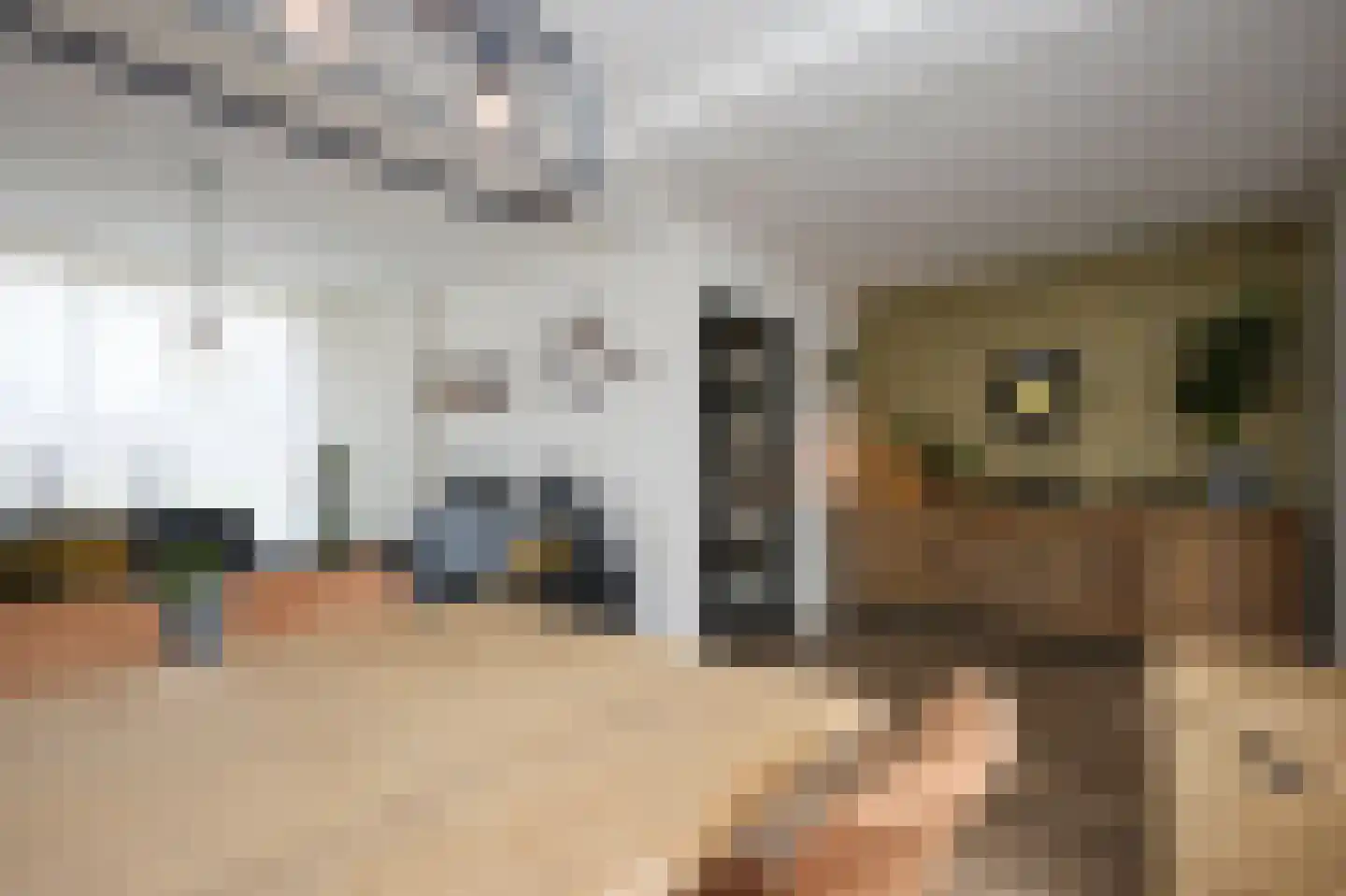 Albertpolderstraat 32 Sluiskil thumbnail 8