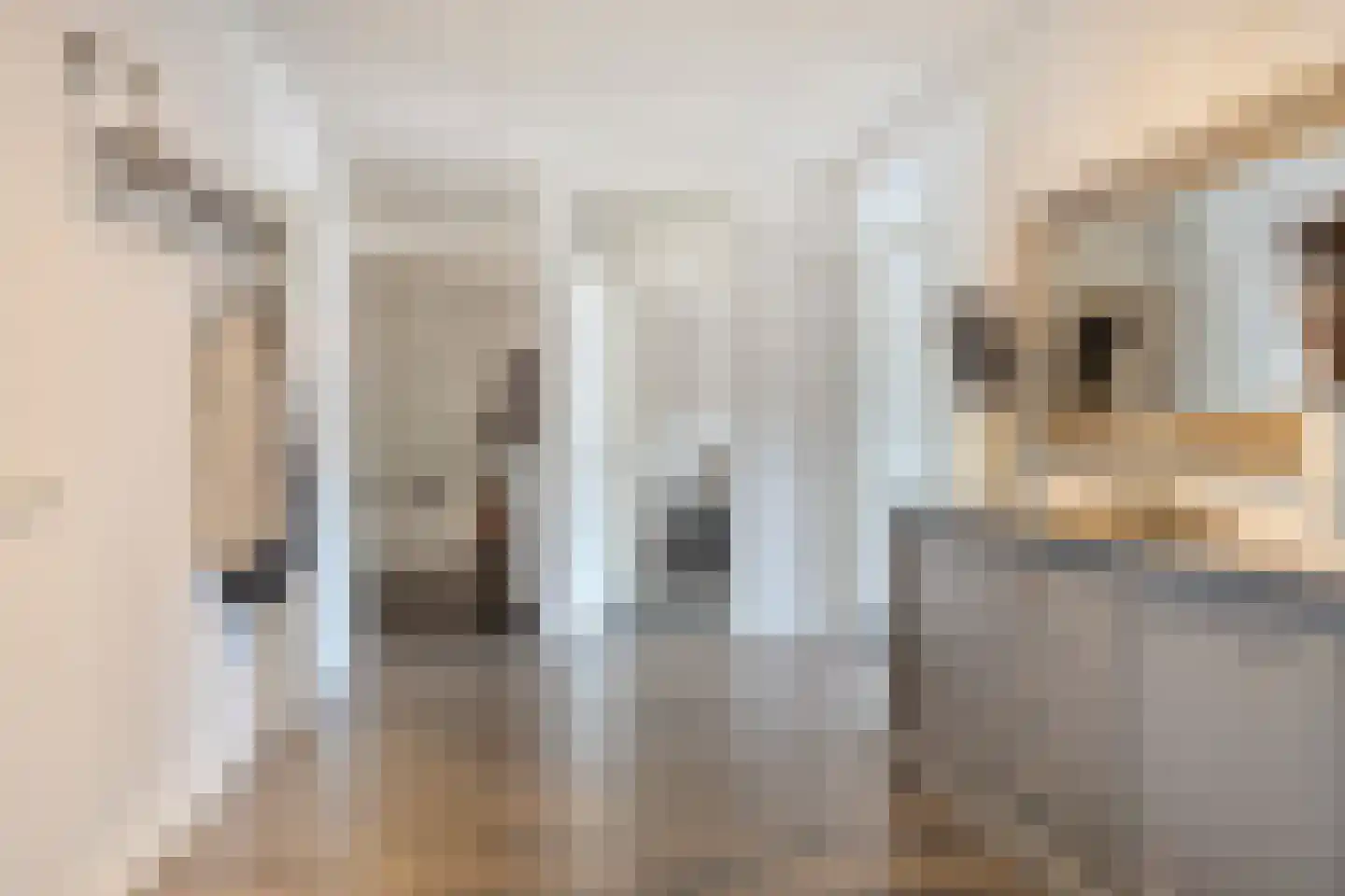 Albertsbaan 40 Roden thumbnail 16