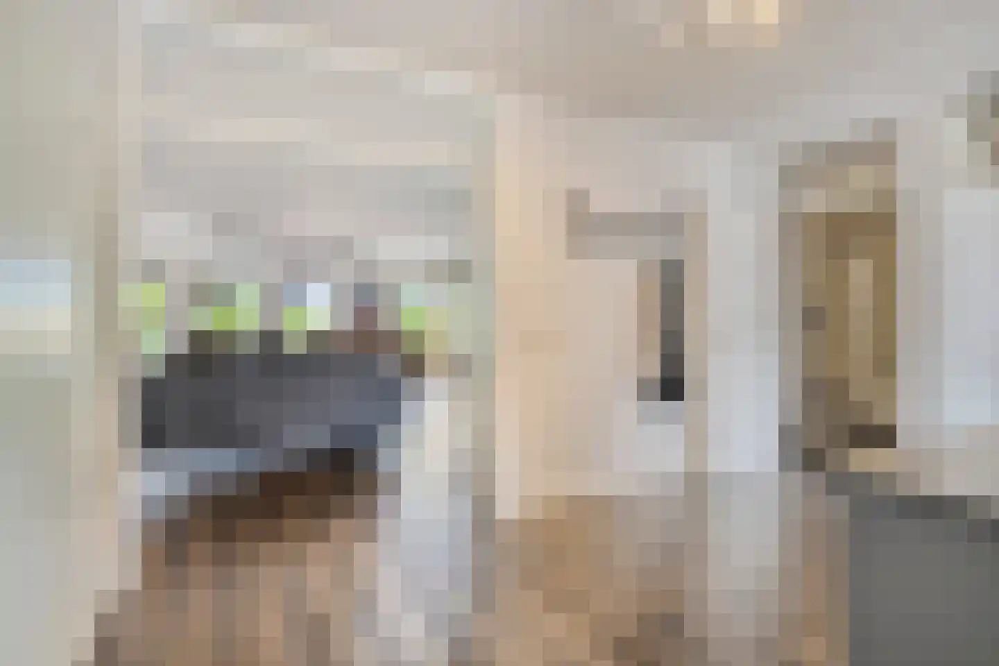 Albertsbaan 40 Roden thumbnail 18