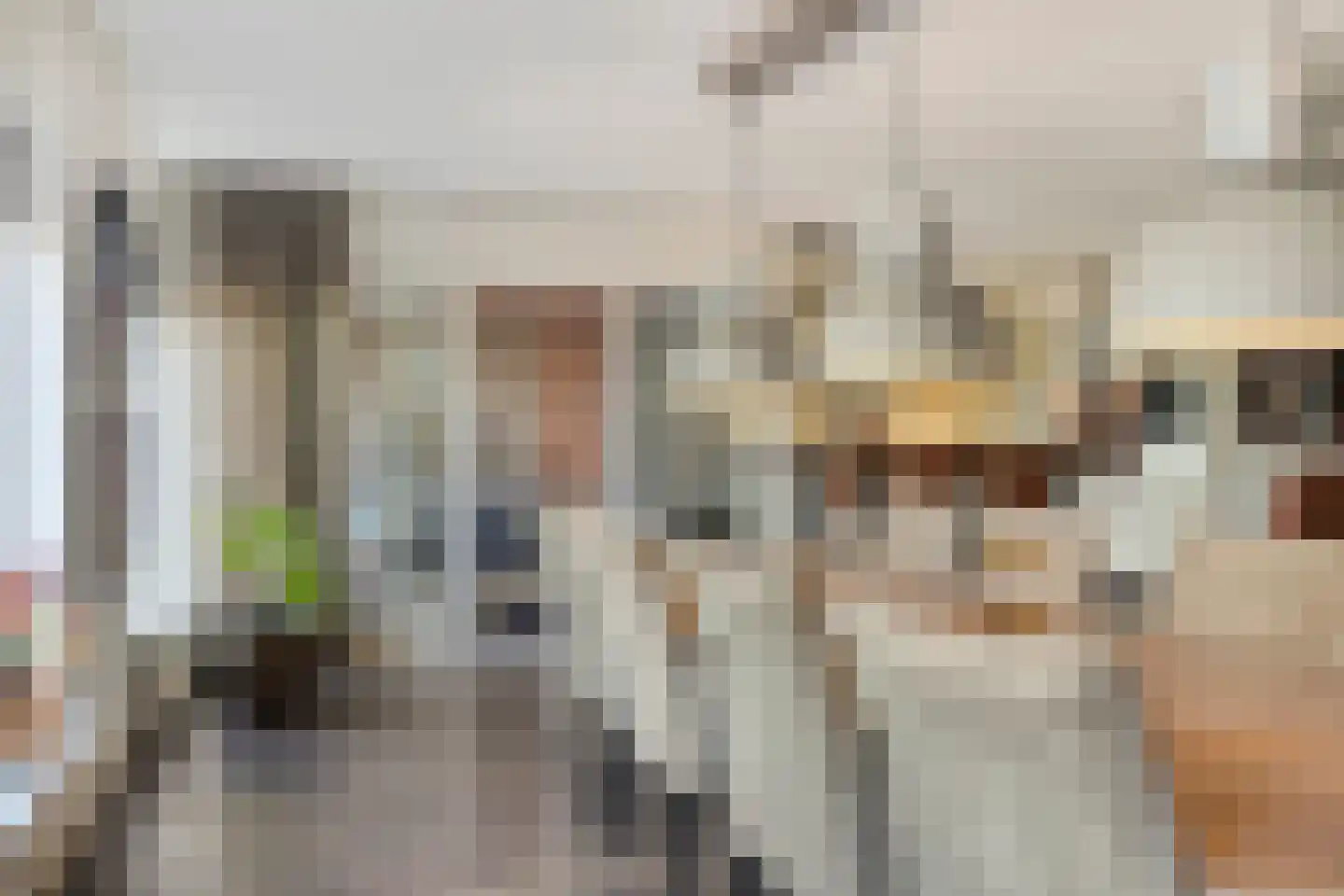 Albertsbaan 40 Roden thumbnail 24