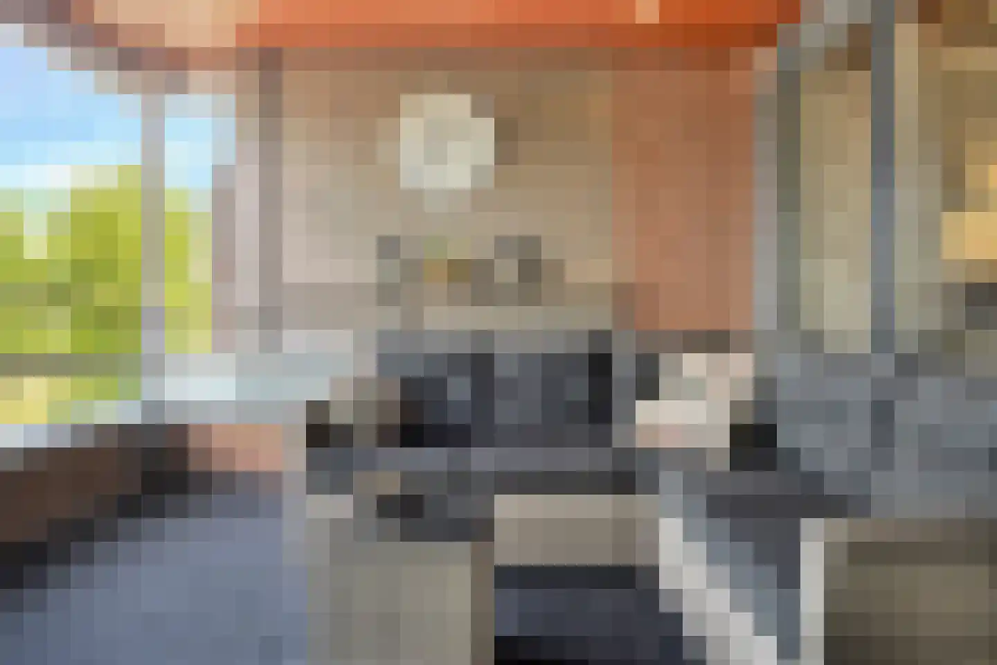 Albertsbaan 40 Roden thumbnail 26