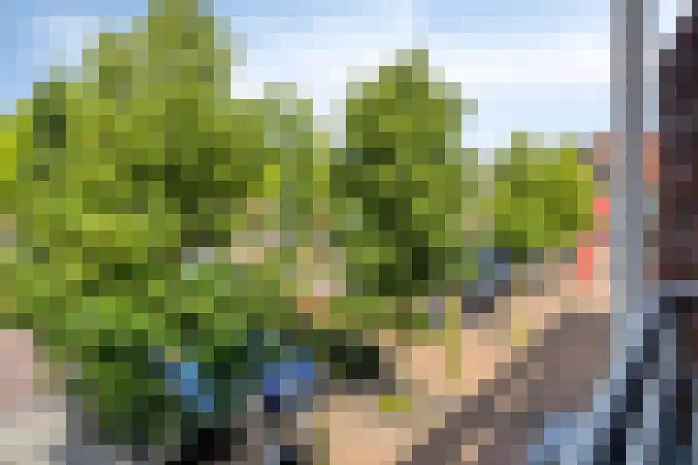 Albertsbaan 40 Roden thumbnail 29