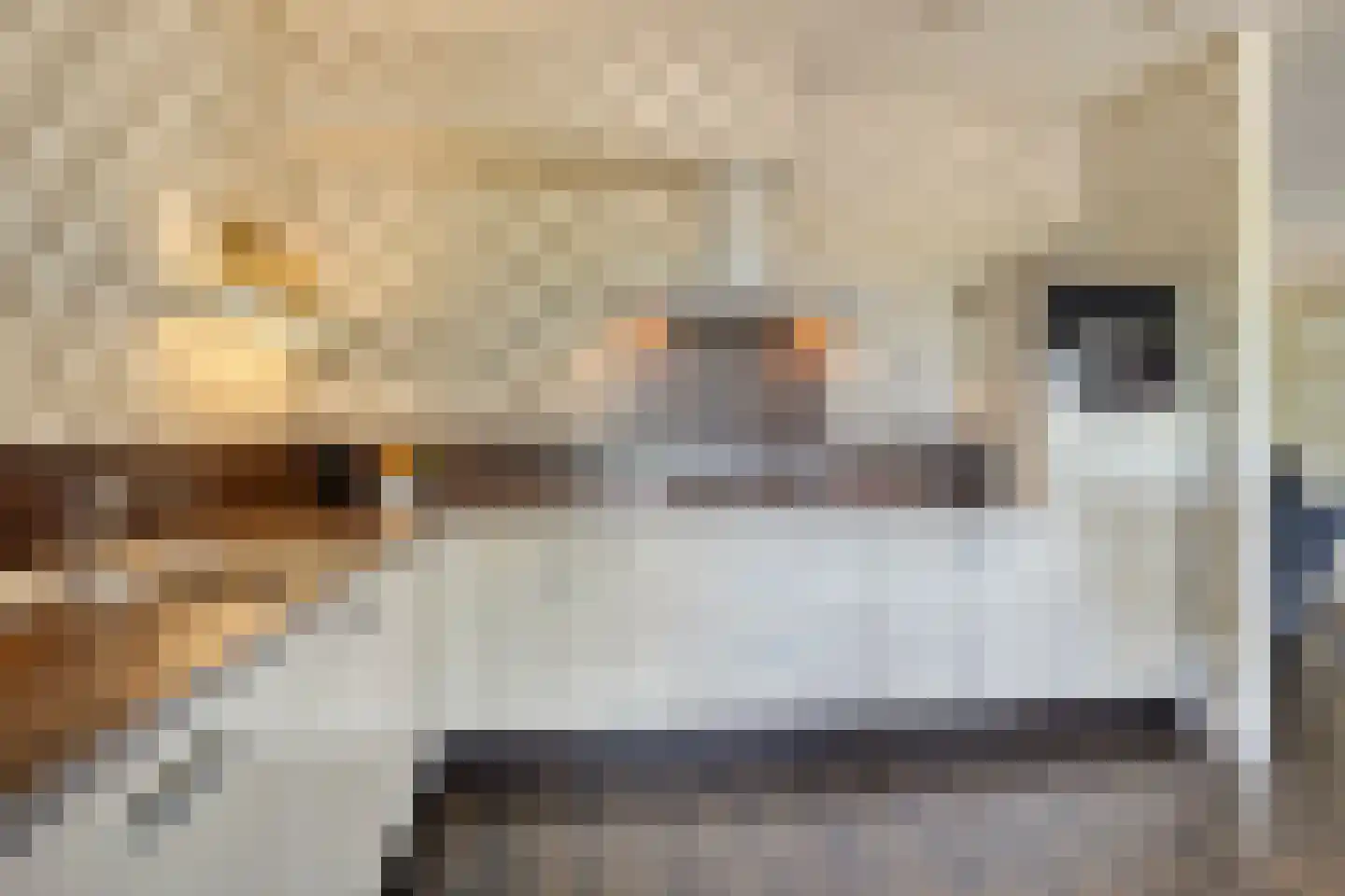 Albertsbaan 40 Roden thumbnail 34