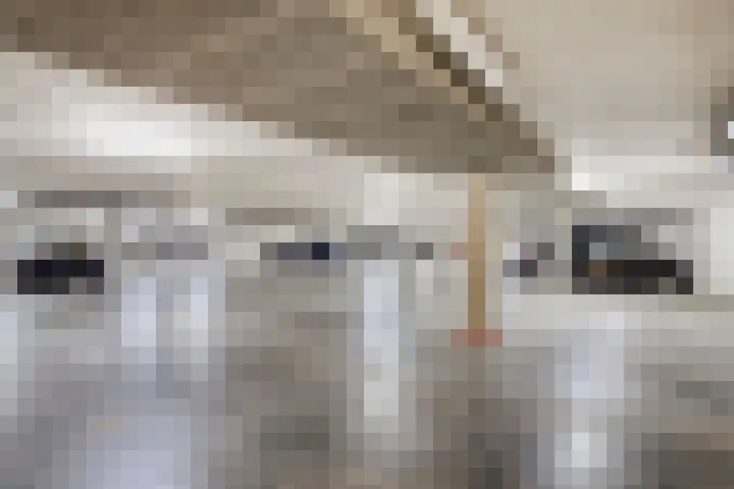 Albertsbaan 40 Roden thumbnail 46