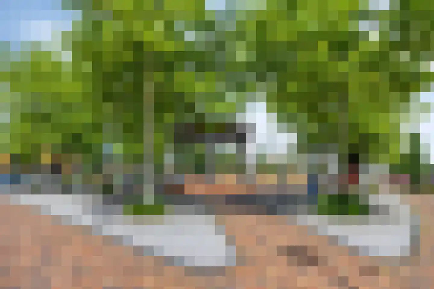 Albertsbaan 40 Roden thumbnail 52