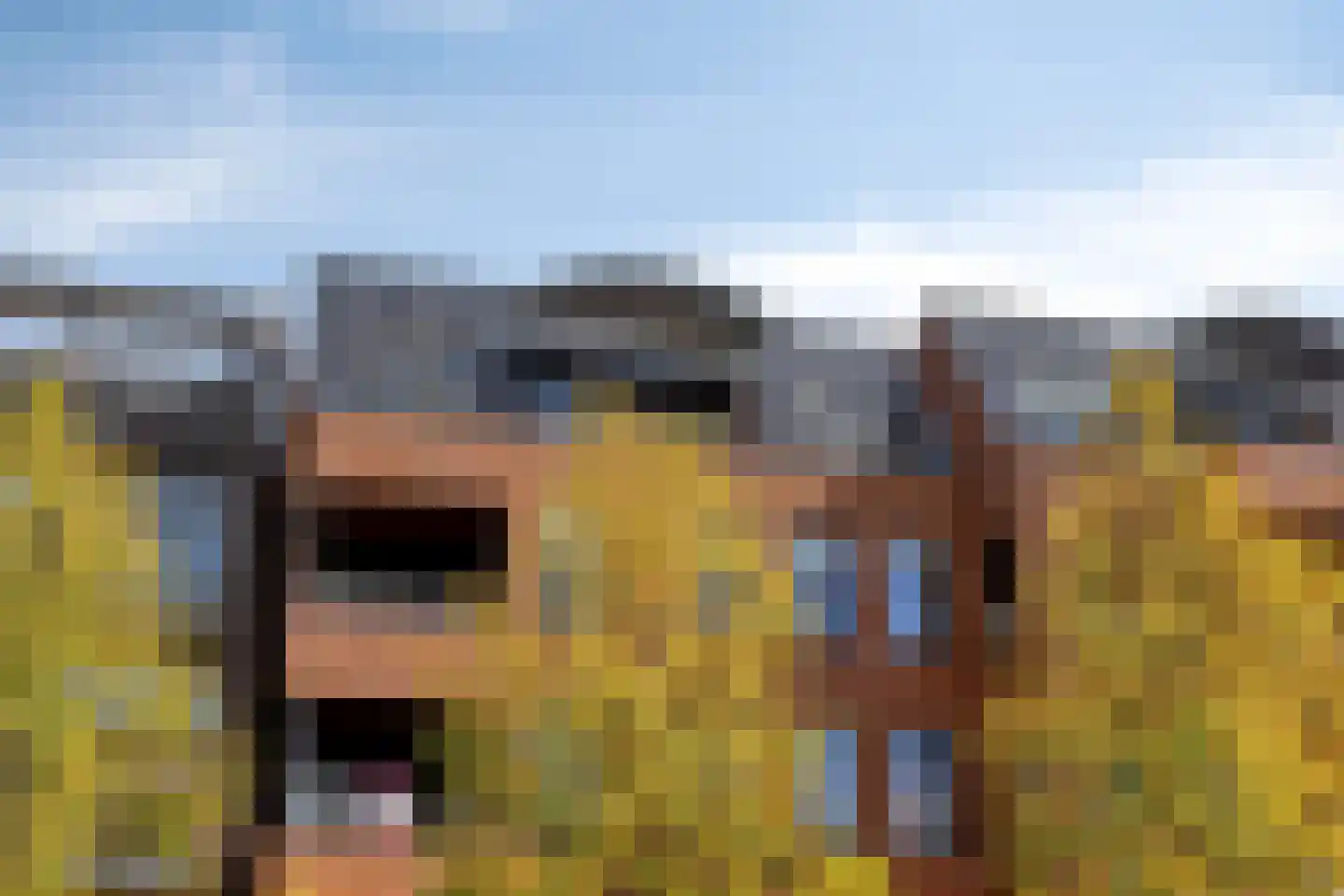 Albertsbaan 52 Roden thumbnail 7