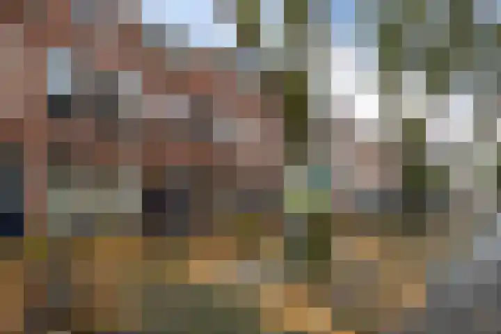 Albertstraat 15 Groningen thumbnail 5