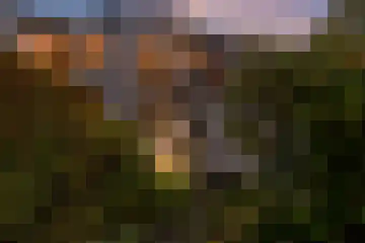 Albertstraat 15 Groningen thumbnail 61