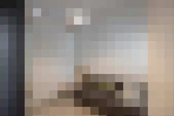 Albertstraat 16 Groningen thumbnail 15