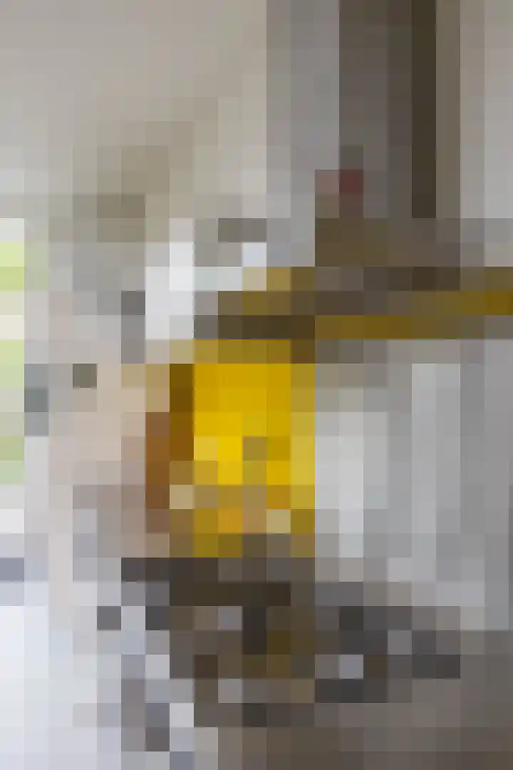 Albertstraat 16 Groningen thumbnail 22