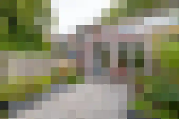 Albertstraat 16 Groningen thumbnail 30