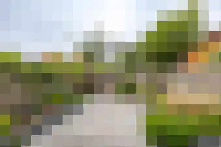 Albertstraat 16 Groningen thumbnail 31