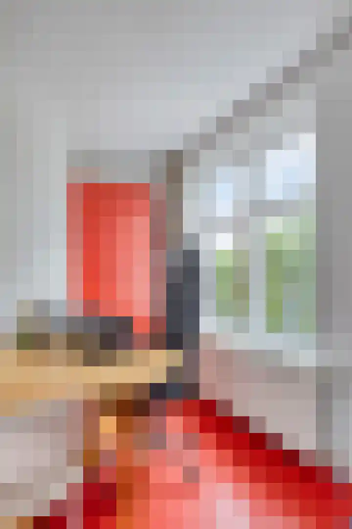 Albertstraat 5 Groningen thumbnail 36
