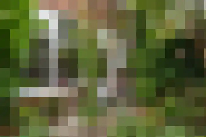 Albertstraat 5 Groningen thumbnail 39