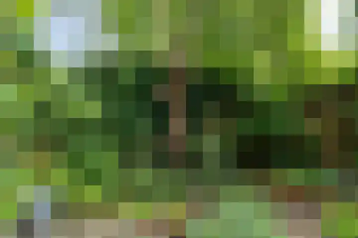 Albertstraat 5 Groningen thumbnail 40