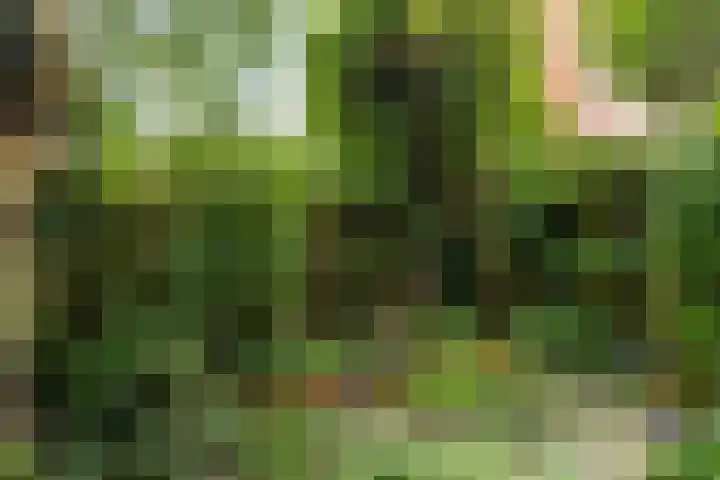 Albertstraat 5 Groningen thumbnail 41