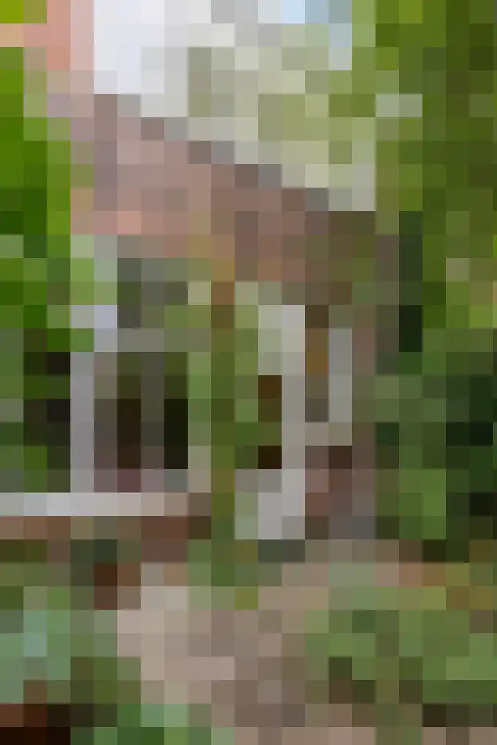 Albertstraat 5 Groningen thumbnail 43