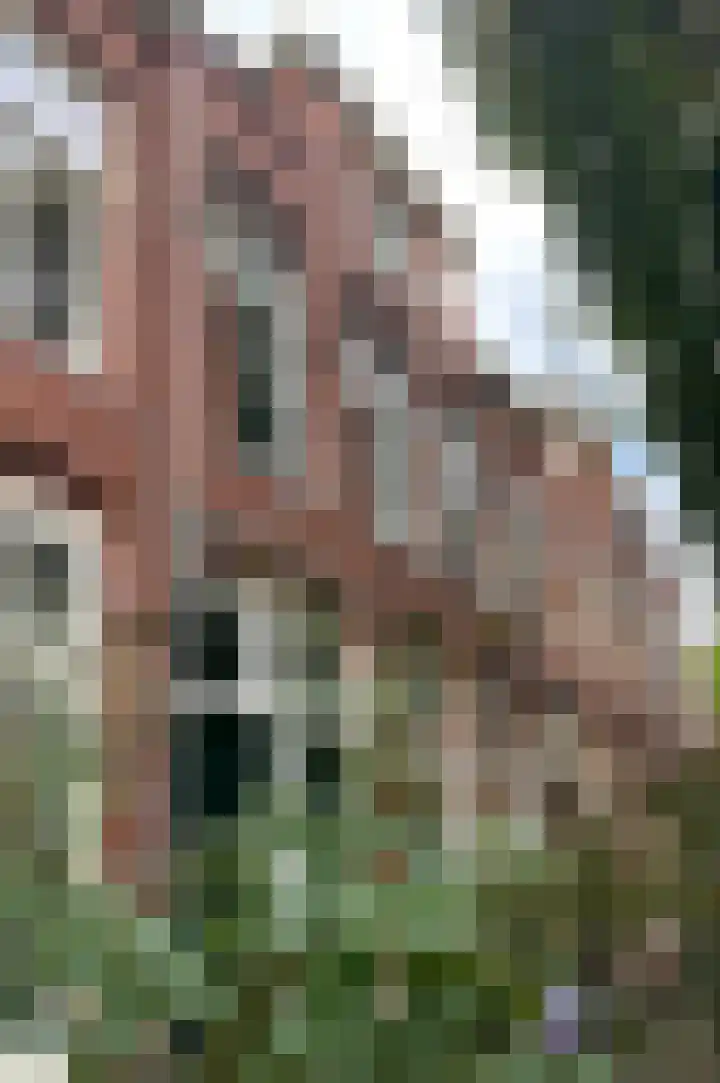 Albertstraat 5 Groningen thumbnail 45