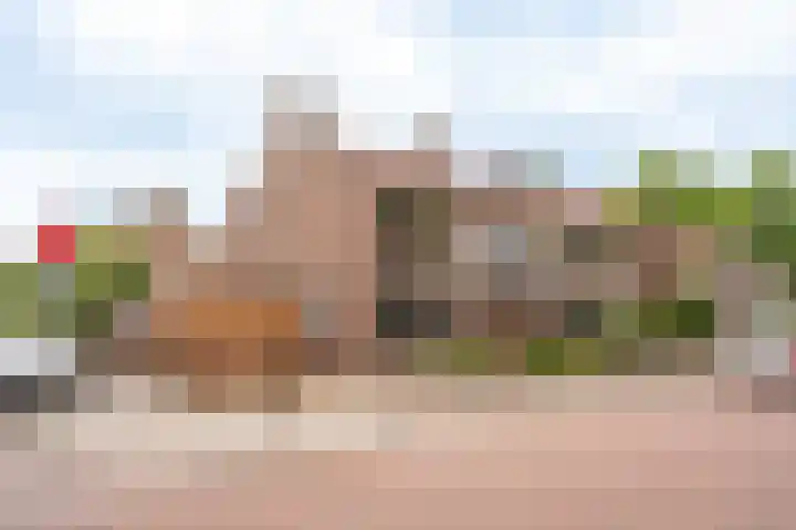 Albertus Magnusstraat 64 Tilburg thumbnail 30