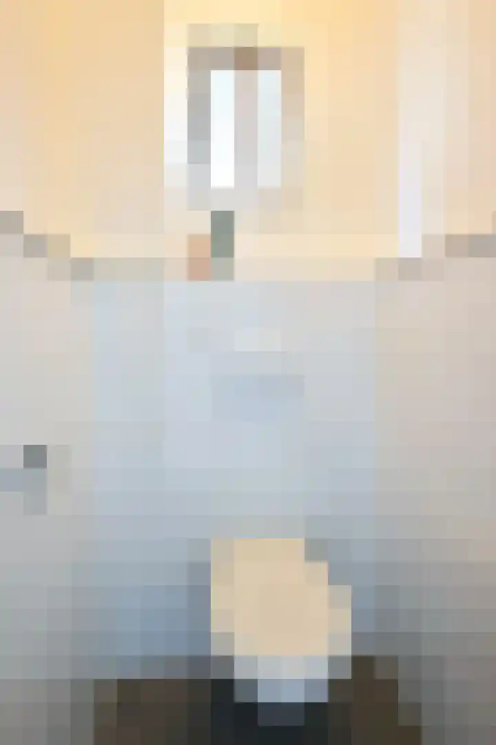 Albertus Perksteeg 1 B Hilversum thumbnail 12