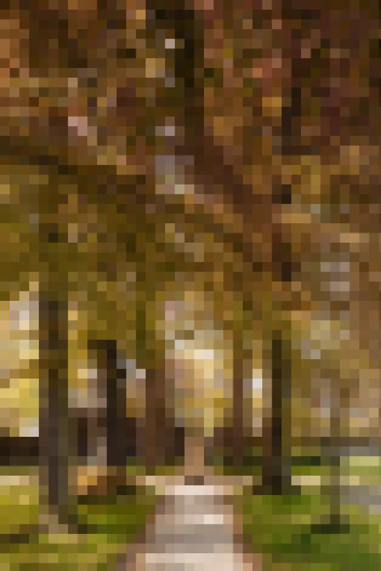 Albertus Perksteeg 1 B Hilversum thumbnail 24