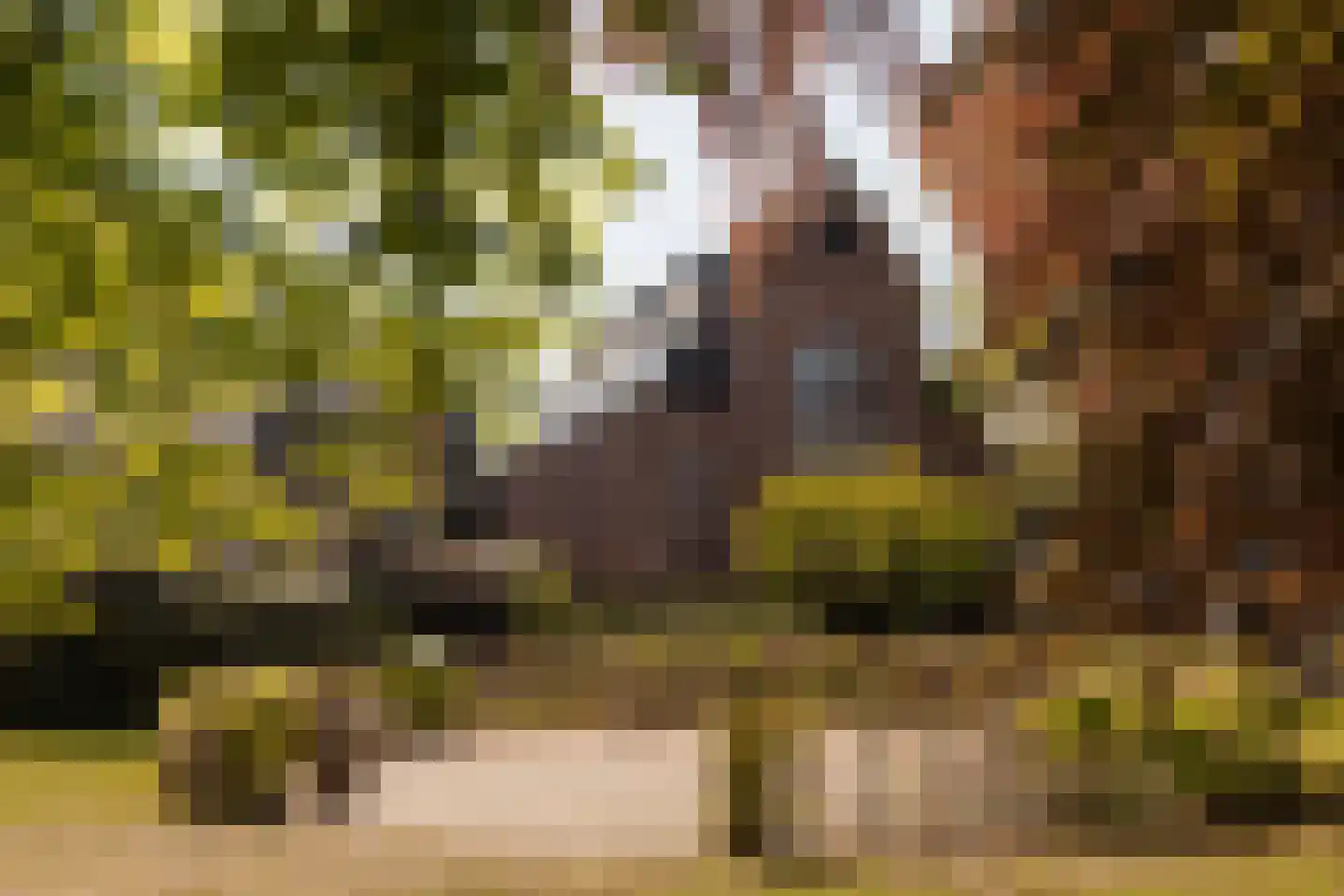 Albertus Perksteeg 1 B Hilversum thumbnail 25