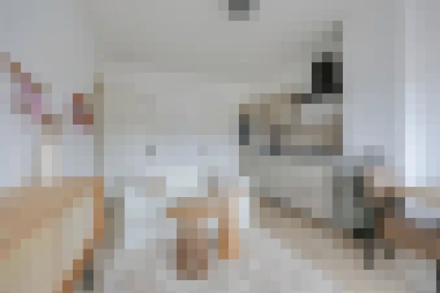 Albertus Perksteeg 13 D Hilversum thumbnail 6
