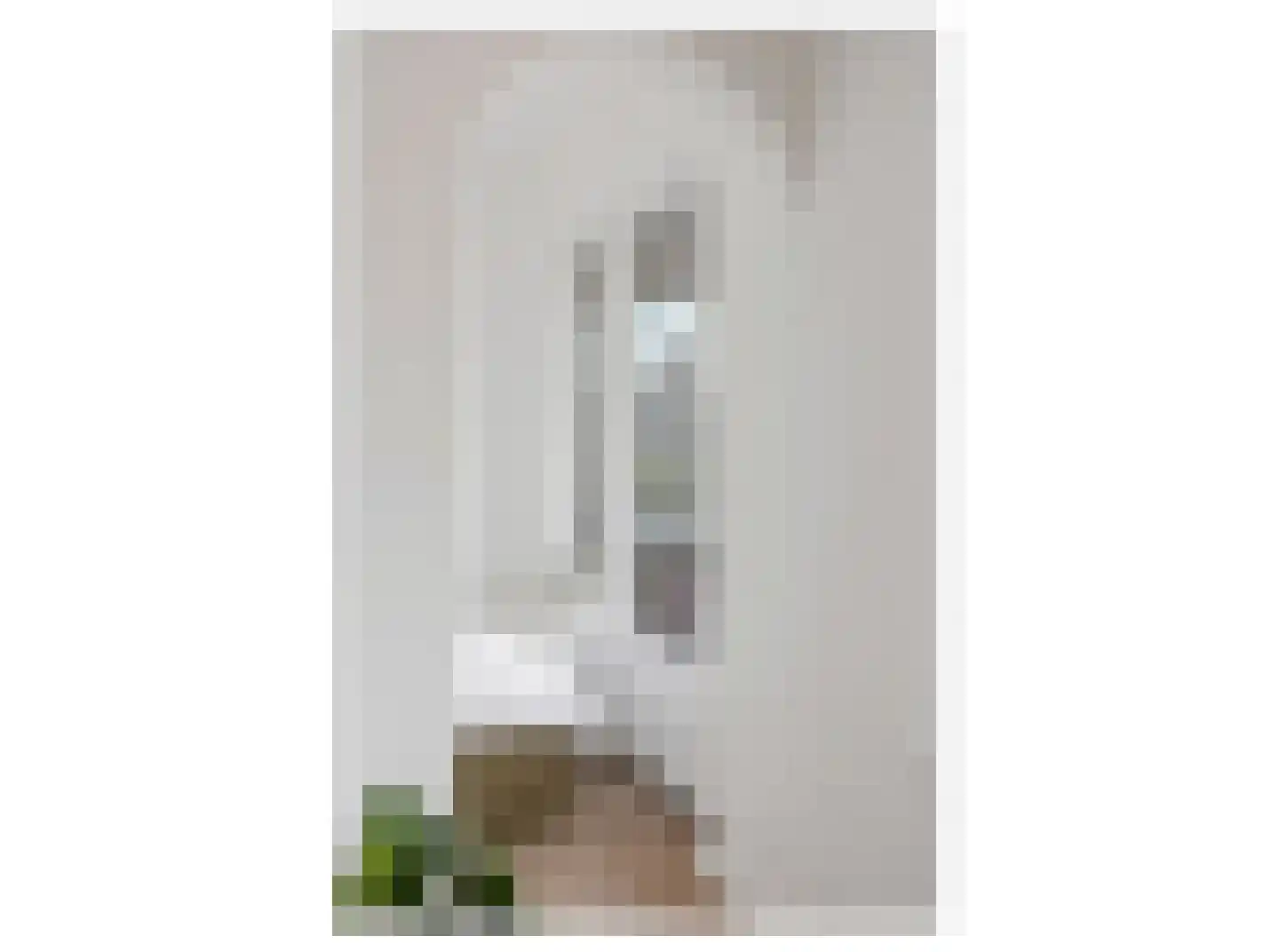 Albertus Perksteeg 13 E Hilversum thumbnail 12