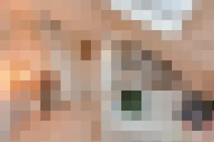 Albertus Perksteeg 13 F Hilversum thumbnail 4