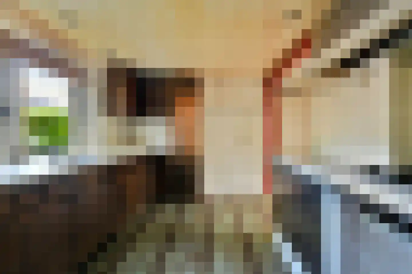 Albertus Perkstraat 47 Hilversum thumbnail 20