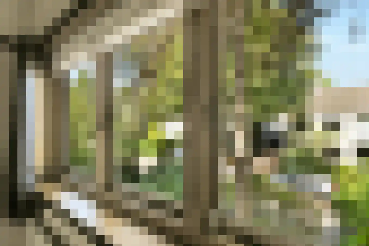 Albertus Perkstraat 47 Hilversum thumbnail 28