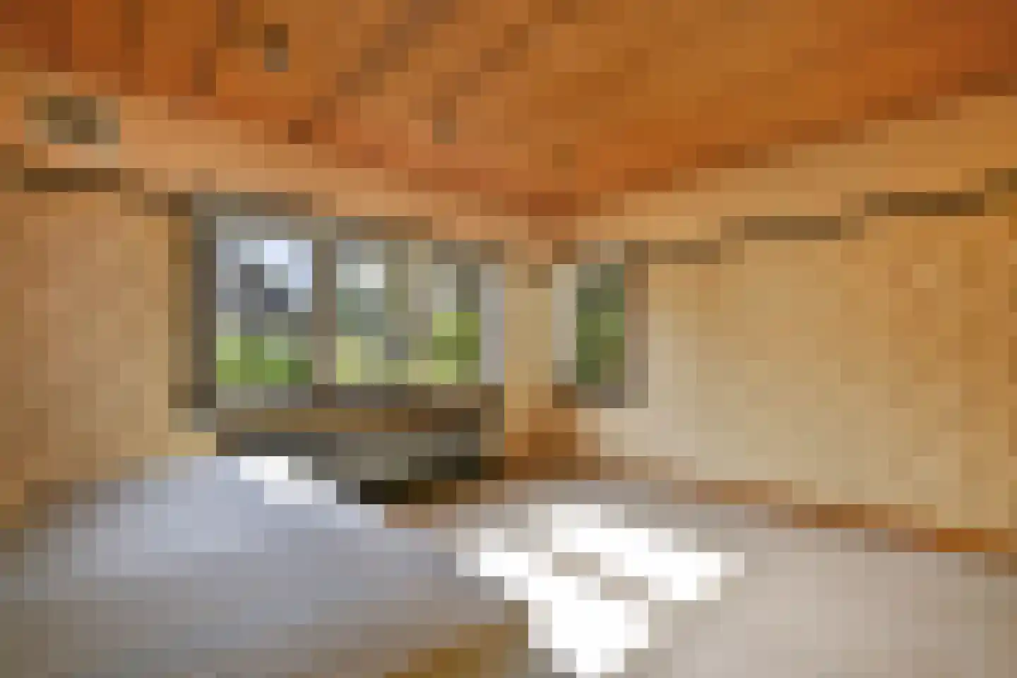 Albertus Perkstraat 47 Hilversum thumbnail 29