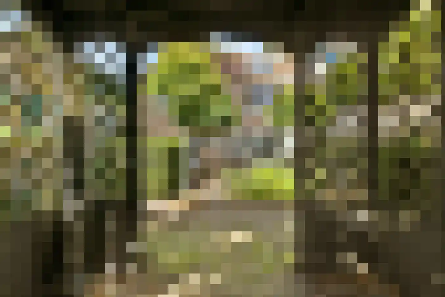 Albertus Perkstraat 47 Hilversum thumbnail 55