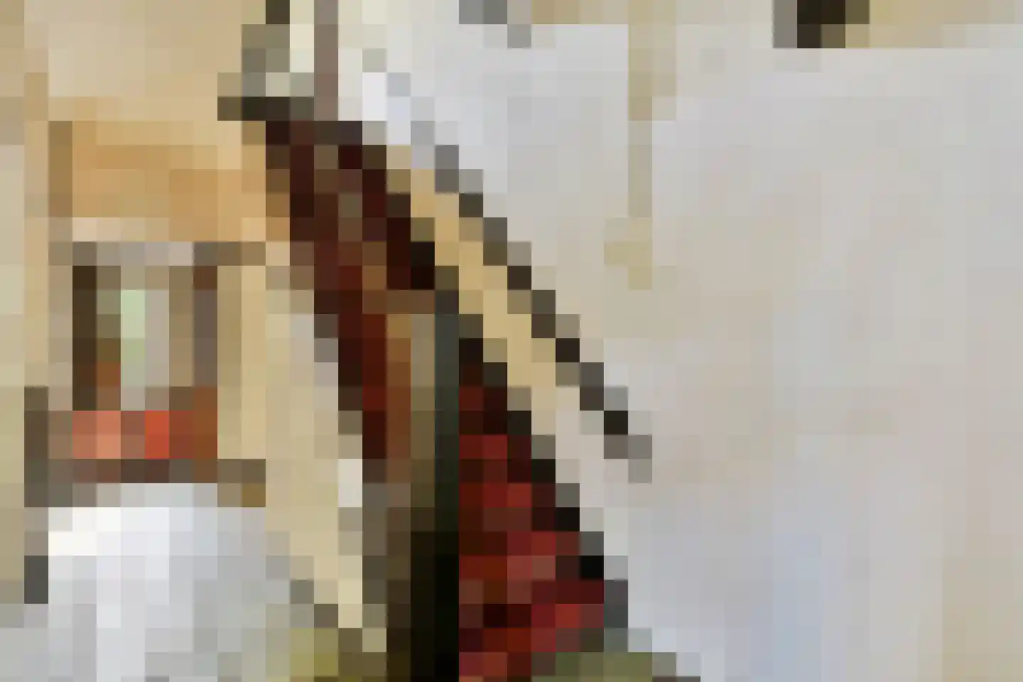 Albertus Perkstraat 47 Hilversum thumbnail 8