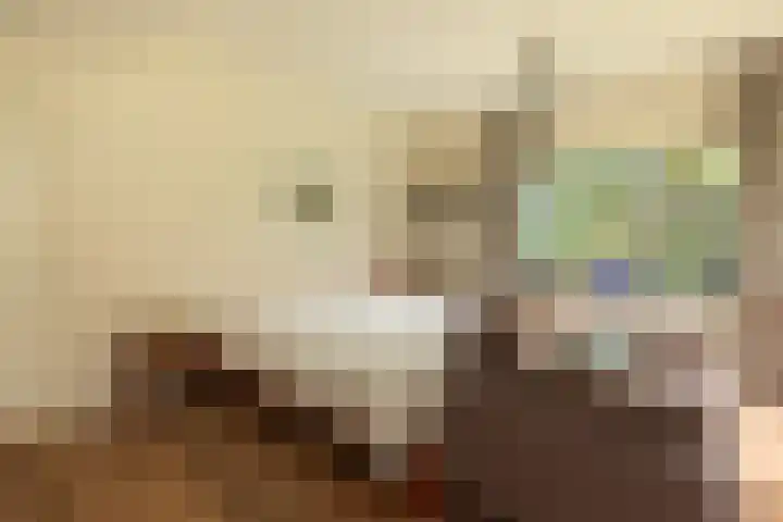 Albertus Perkstraat 66 Hilversum thumbnail 18