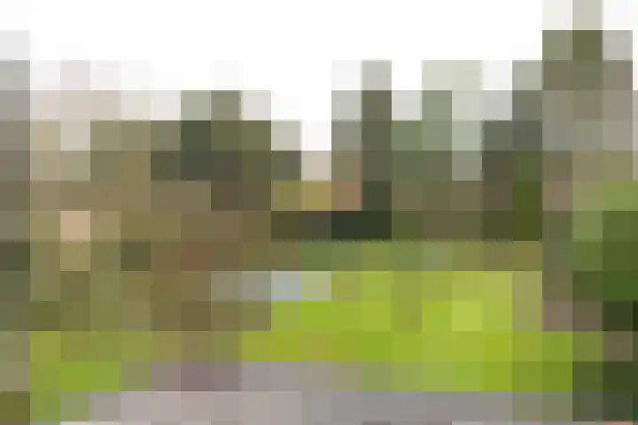 Albertus Perkstraat 66 Hilversum thumbnail 36