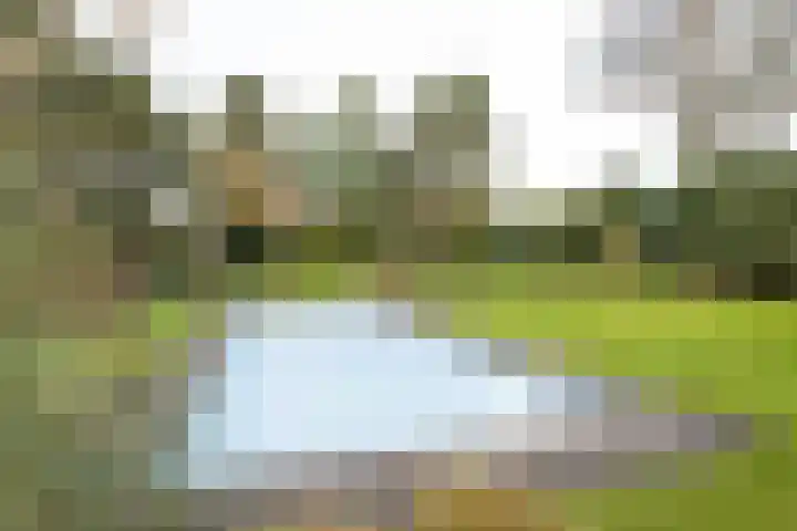 Albertus Perkstraat 66 Hilversum thumbnail 39