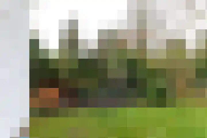 Albertus Perkstraat 66 Hilversum thumbnail 43