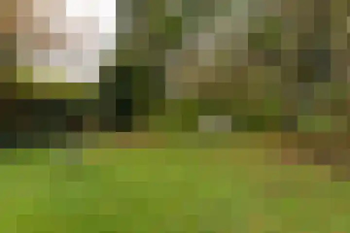 Albertus Perkstraat 66 Hilversum thumbnail 47