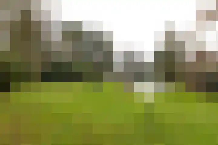 Albertus Perkstraat 66 Hilversum thumbnail 48