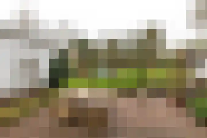 Albertus Perkstraat 66 Hilversum thumbnail 50
