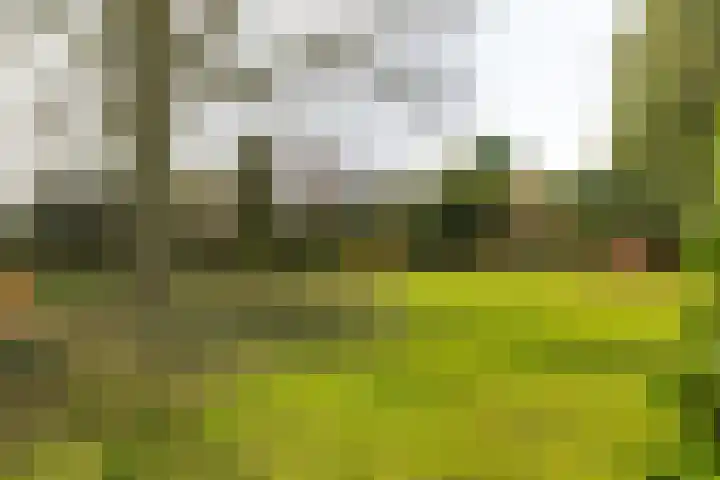 Albertus Perkstraat 66 Hilversum thumbnail 52
