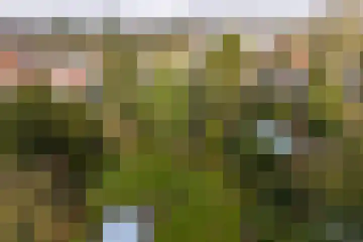 Albertus Perkstraat 66 Hilversum thumbnail 53