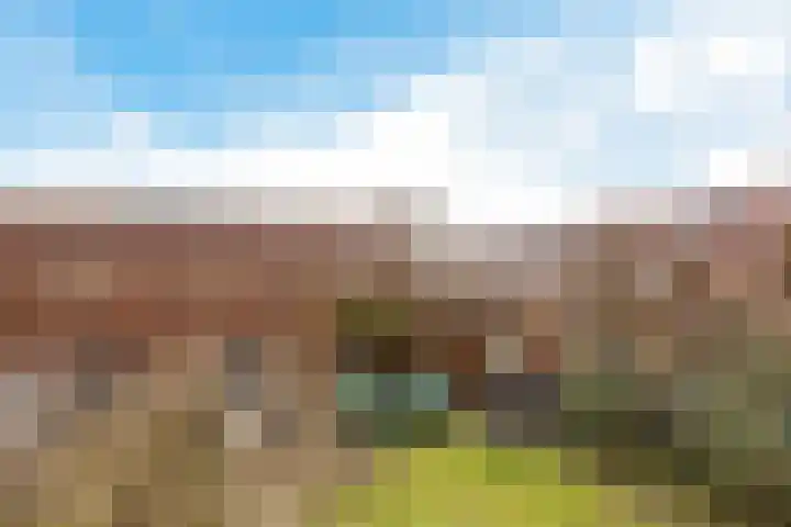 Albertus van Leusenweg 32 Deventer thumbnail 43