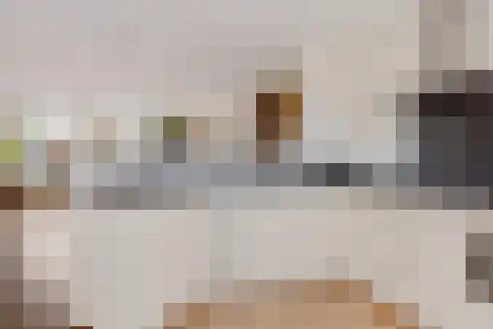 Albertus van Leusenweg 32 Deventer thumbnail 8