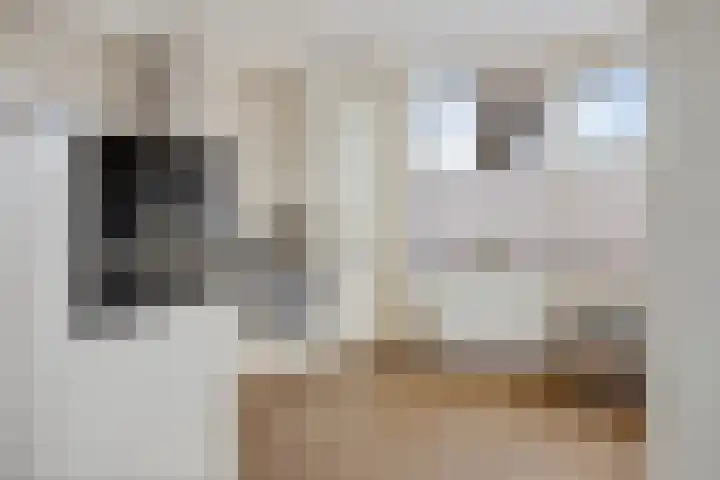 Albertus van Leusenweg 32 Deventer thumbnail 9