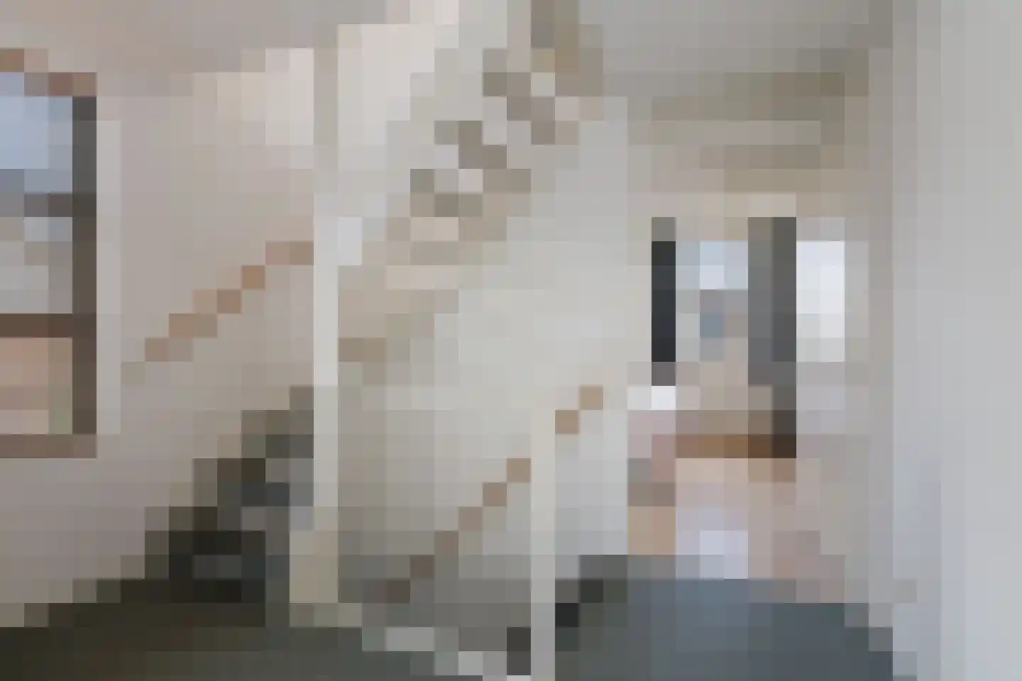 Albertus van Leusenweg 5 Deventer thumbnail 16