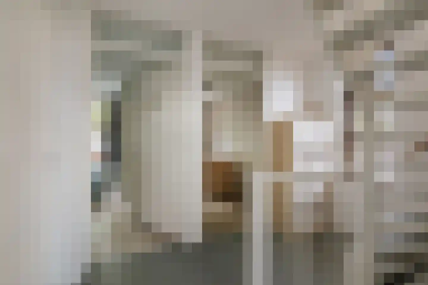 Albertus van Leusenweg 5 Deventer thumbnail 22